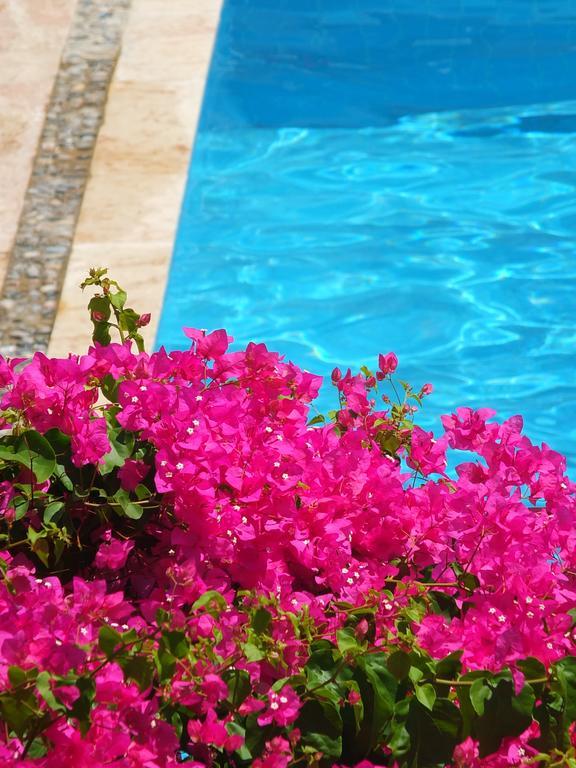 Hotel Villa Berk Fethiye Exteriör bild